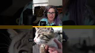 Come for the Landfall Triggers Stay for the Kitten ft maldhound magicthegathering mtg shorts [upl. by Darsey685]