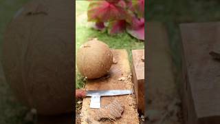 Dried coconut  how to remove coconut from Shell [upl. by Eruot]