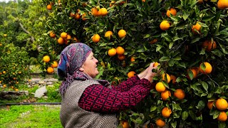 Farm Fresh Lunch  Cooking for Orange Harvest Workers [upl. by Remy524]