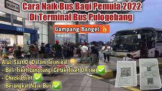 Cara Naik Bus Bagi Pemula 2022 Di Terminal Pulogebang  Gampang Banget [upl. by Carlen798]