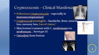 Microbiology 588 a Cryptococcus neoformans Cryptococcosis Cryptococcal meningitis Mycology Gattii [upl. by Cattan]