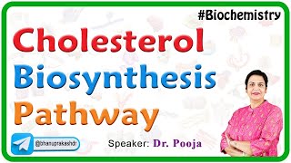 Cholesterol Biosynthesis Pathway  Biochemistry [upl. by Rikki]