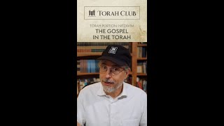 The Gospel in the Torah shorts [upl. by Forras251]