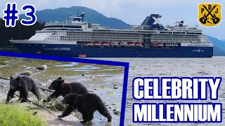 Celebrity Millennium Pt3  Ketchikan Black Bear amp Wildlife Exploration Tour Kawanti Adventures [upl. by Lyreb]