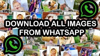 Download all  multiple images from WhatsApp Web Tutorial [upl. by Jerrylee]