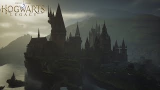 How To Use Photo Mode in Hogwarts Legacy [upl. by Yriek]