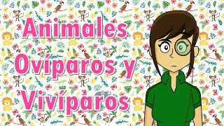 Clasificación de animales ovíparos vivíparos y ovivíparos [upl. by Nodyarg230]