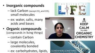 Biochem amp Carbohydrates Unit 1  Video 5A [upl. by Eittocs]