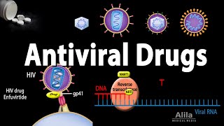 Antimycobacterials  AntiTB Drugs [upl. by Anatollo911]