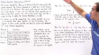 Sequencing Amino Acids in Proteins [upl. by Lefty918]