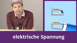 Die elektrische Spannung [upl. by Hughie]