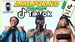 AMAPIANO TIK TOK 2023  TRENDING SONGS MIX🔥 Dalie🔥 Bhebha 20🔥Peacock🔥 Wena My Dali🔥 [upl. by Nivert]