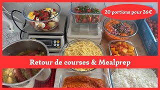 PETIT BUDGET 💰 Retour de Courses et Mealprep 🥣 6 idées économiques et 20 portions pour 26€ [upl. by Aratak]