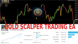 GOLD SCALPER TRADING EA REVIEW THIS GOLD SCALPER MADE 182 PROFIT WITH ONLY 2 DRAWDOWN [upl. by Aztiley]