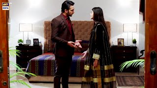 Teri Rah Mein Episode  BEST SCENE 06  Usama Khan amp Zainab Shabbir [upl. by Gerianne395]