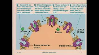 Pharmacokinetics Drug Absorption and Distribution [upl. by Odlanyer]