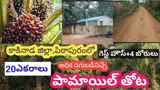 Agriculture land for saleLand for sale in andhrapradeshIsmartSriRealestate [upl. by Aihselat]