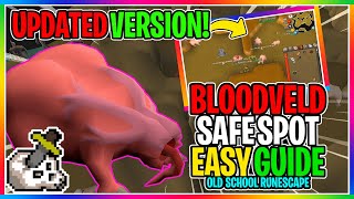 OSRS  How To Kill Bloodvelds Using RangeMelee amp Cannon   EVERYTHING YOU NEED TO KNOW [upl. by Llehsar]