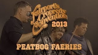 Peatbog Faeries  LIVE AT CROPREDY 2013 [upl. by Kared]