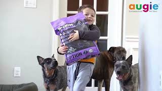 Annamaet Pet Food For Dogs And Cats  Dog Dry Food  Cat Food  Online Pet Store India  Augie Pets [upl. by Anailil]