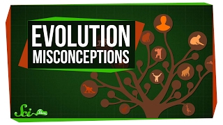 Common Misconceptions About Evolution [upl. by Fulbert430]