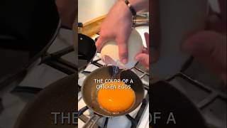 Egg Color Facts [upl. by Ibbor]