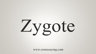 How To Say Zygote [upl. by Nyllek]