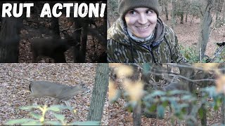 2024 PA Archery Season Ep 2 Rut Action [upl. by Fachini624]