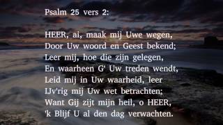 Psalm 25 vers 2 3 en 6  HEER ai maak mij Uwe wegen [upl. by Nibot912]