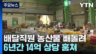 고양이한테 생선을직원이 농산물 14억 원어치 1800여 차례 훔쳐  YTN [upl. by Mag]