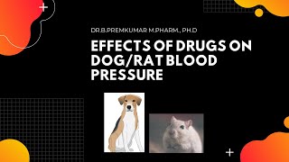 Effects of Drugs on DogRat Blood pressure [upl. by Ycnahc]