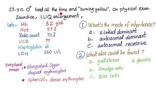 Case Elongated cells in my bloodIs that normal [upl. by Whorton]