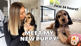 PICKING UP MY NEW COCKER SPANIEL PUPPY FIRST 24 HOURS  vlog [upl. by Adialeda]