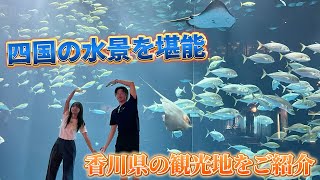 【元アイドルと秘密のデート！？】四国最大級のダイナミックな水族館 [upl. by Kira387]