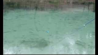 Action Demo 8  Realis Jerkbait 100SP [upl. by Nyrroc605]