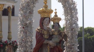 1 alla grande festa della madonna del pozzo a Capurso [upl. by Whale]