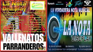 vallenato parrandero vol 2 dj daniel la nota discplay [upl. by Asial]