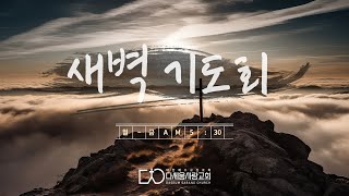 다세움사랑교회 2024년 10월 16일 새벽기도회 [upl. by Anicnarf]