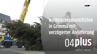 Üppiger Weihnachtsbaum für den Grimmaer Markt sträubt sich gegen den Transport [upl. by Critchfield]