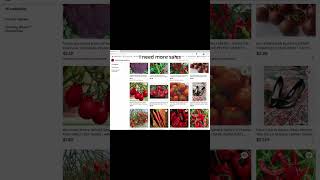 The best place to buy garden seeds shorts plants smallbusiness seeds ebay [upl. by Ellahcim]