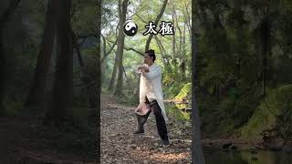 How to learn Tai Chi kungfu taichijian taichichina taichi [upl. by Innes]