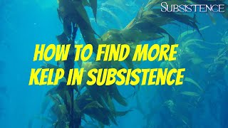 Subsistence Gameplay  How To Find Kelp in Subsistence  Ep 28 [upl. by Jemmie530]