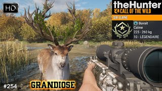 THEHUNTER COTW 254 LE CERF ÉLAPHE 10 LÉGENDAIRE GREAT ONE  GRANDIOSE SUR HIRSCHFELDEN [upl. by Battista]