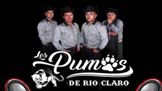 Los Pumas De Río Claro  Dos Vicios Bass Boost Chile [upl. by Emile13]