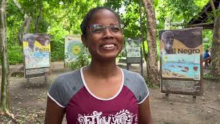 Guardianes del Coral Capacitación de Jardineros en Islas del Rosario  ProColombia y Fábricas [upl. by Yevi]