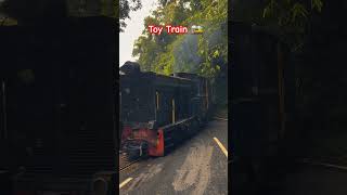 Darjeeling Toy Train 🚞travel music viralvideo shorts trainshorts [upl. by Atnuahc870]