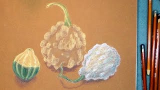 How to sketch gourds in coloredcharcoal pencils on toned paper [upl. by Stelmach14]