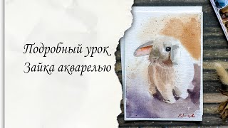 Как рисовать зайчика акварелью Подробный урок акварели для начинающих [upl. by Dredi]