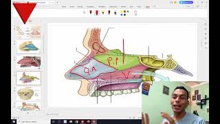 quotبالعربي quotAnatomy of the NOSE and Paranasal Sinuses [upl. by Yesdnik]