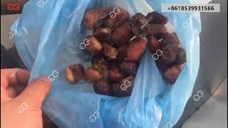 How Are Dates Pitted Dates Palm Seed Removing Machine [upl. by Christiano]